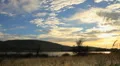 African Safari Sunrise Landscape GFHD HD Footage
