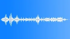 African savanna birds Sound Effect