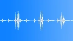 African savanna birds Sound Effect