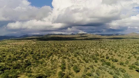 African Savannah 動画素材 75736771