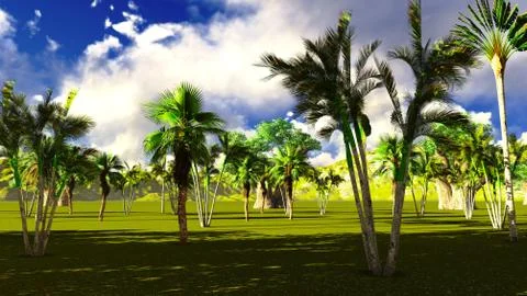 African savannah Stock Illustration