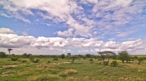 African Savannah Time Lapse Stock Footage 31821232