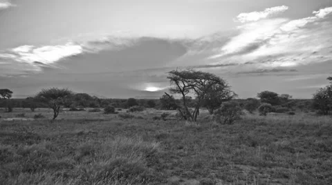 African Savannah Time Lapse Sunset BW Stock Footage 31821176