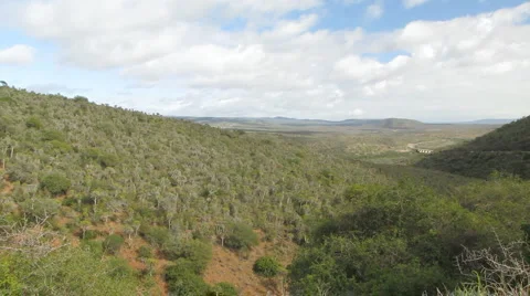 African Scenic Stock-Footage 1087446