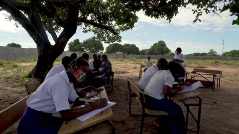 African school class  under tree Stock Footage 250266620