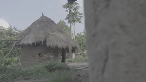 African settlement Stock Footage 308013791