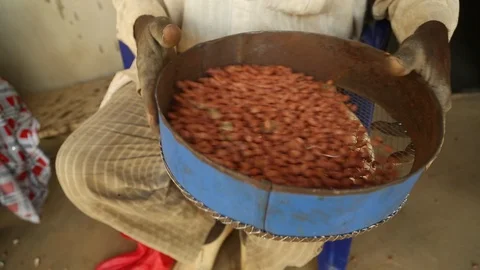 African small peanut farmer in Nigeria, West Africa Stock Footage