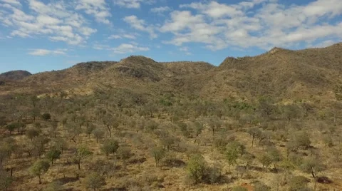 African Steppes Stock Footage 67467047