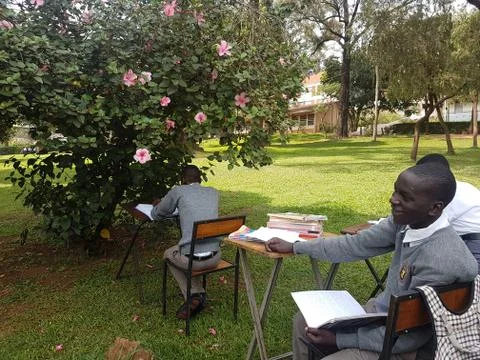 African students study for exam under blossom tree Stock-Fotos