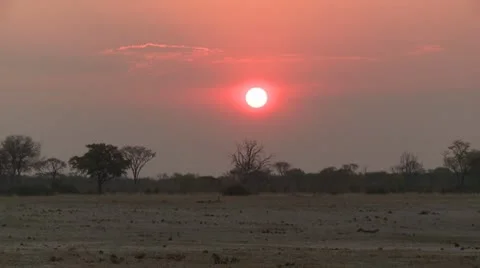 African Sun 1 Video stock 10591673