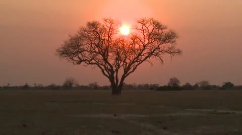 African Sun 2 Stock Footage 10591671