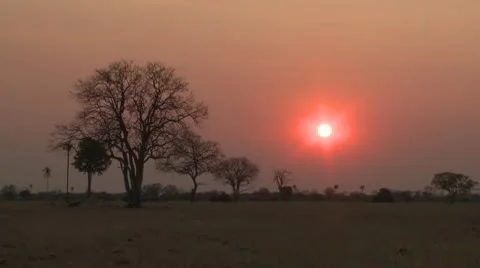 African Sun 6 Stock Footage 10591679