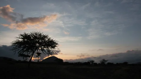 African Sunrise Stock Footage 51827924