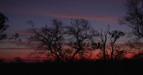 African sunrise Stock Footage 251653265