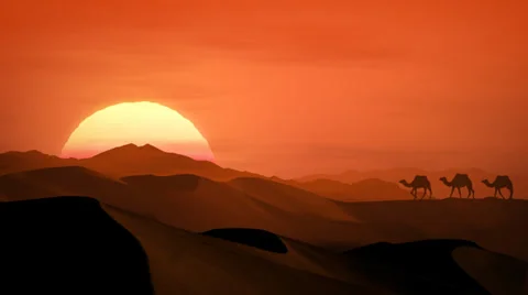 African Sunset with camels Stock Footage 35541610
