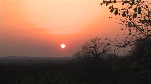 African sunset Video stock 49998788