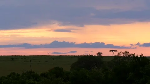 African sunset Stock Footage 134108757