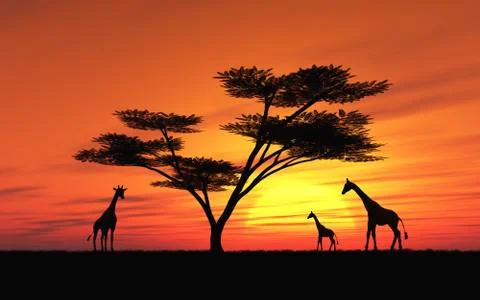 African Sunset Иллюстрация