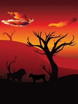 African Sunset with Lion Stock Illustration