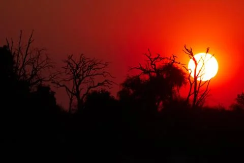 African sunset Stock Photos
