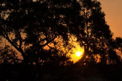 African sunset Stock Photos