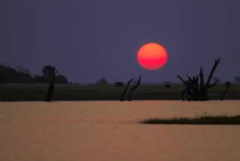 African sunset Stock Photos