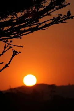 African Sunset Stock Photos