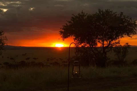 African Sunset Stock Photos