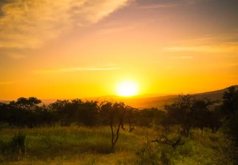 African Sunset Foto stock