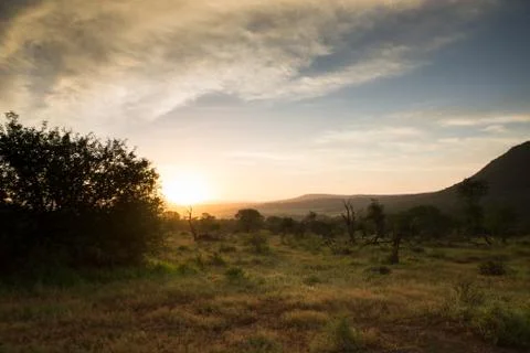 African Sunset Stock Photos
