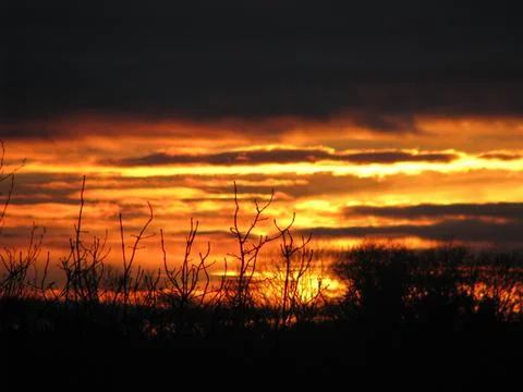 African Sunset Stock Photos