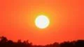 African Sunset time-lapse HD Footage