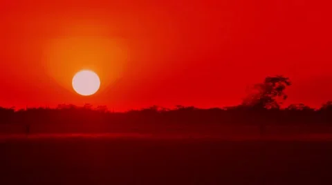 African sunset. timelapse. Stock Footage 8833475