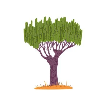 African tree baobab with thick stem flat style, vector illustration Stock Illustration