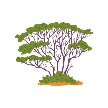 African tree with high crown flat style, vector illustration Stock Illustration