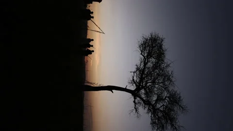 African Tree at Sunset Vídeos de archivo 234678659