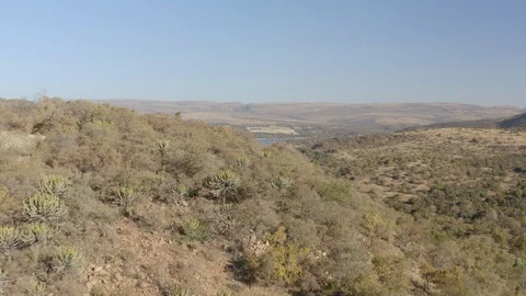 African Vista Drone View Stock Footage 124777472