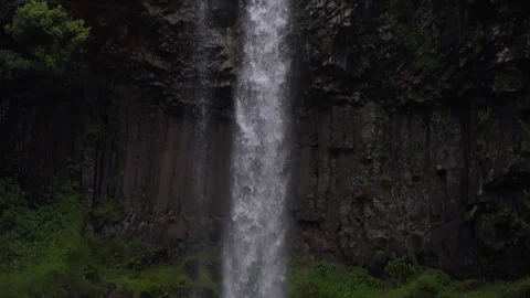 African Waterfall Forest camera down Slow Motion Stock Footage 276596887