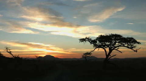 African Wilderness Sunset Stock Footage 66535441