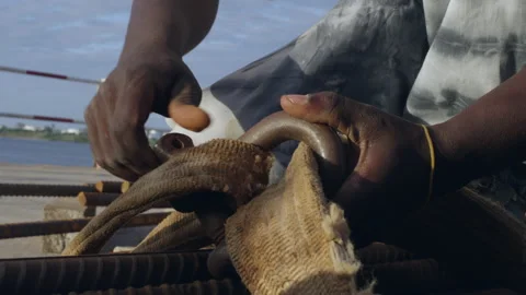 African worker working on construction site, Tanzania，Africa. Stock Footage 133119903