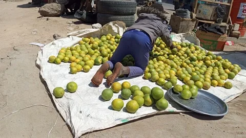 African Young Man Sorting Oranges For Sale Roadside Kano Nigeria 動画素材 330595007