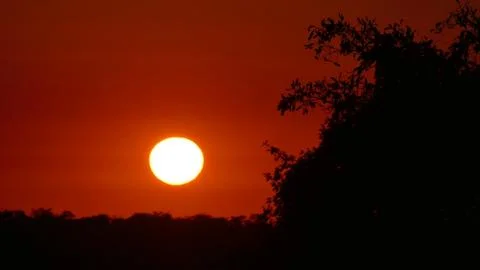 The Afrikan Sun Stock Photos