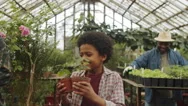 Afro-American Boy Helping Family In Greenhouse Stock Footage