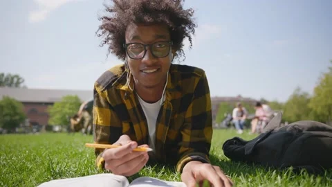 Afro-american student lying on grass having video online lesson Stock Footage 158607365