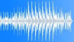 Afro-Indo Drums (Toxicsoundmaster) Stock Music