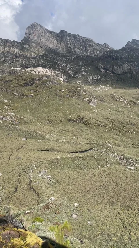 Afroalpine valley with heather and cliffs in the Rwenzori Mountains, Uganda Stock-Footage 346368403