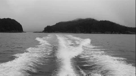 Aft view wake from speeding boat Alaskan shoreline Stock Footage 66541680