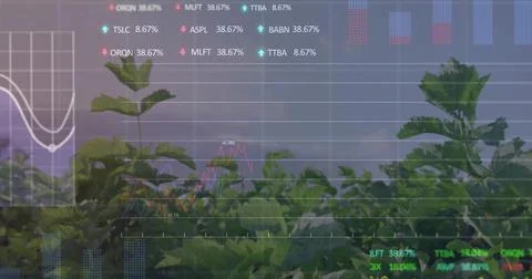 After 1s delay HUD appearing over sapling, grids filling, graphs drawing, Stock Photos