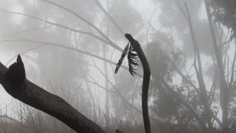 After The Battle Video stock 150688379