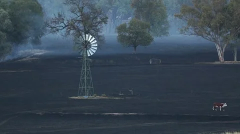 After the Bushfire Vídeo Stock 45438244